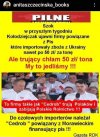 Czyżby to by był powód zagipsowania Pinokia...