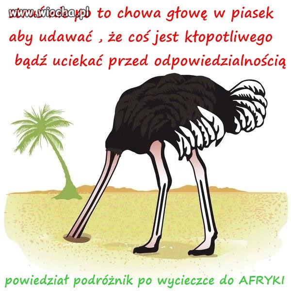 Podróże kształcą