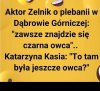 Tam to się działo ...