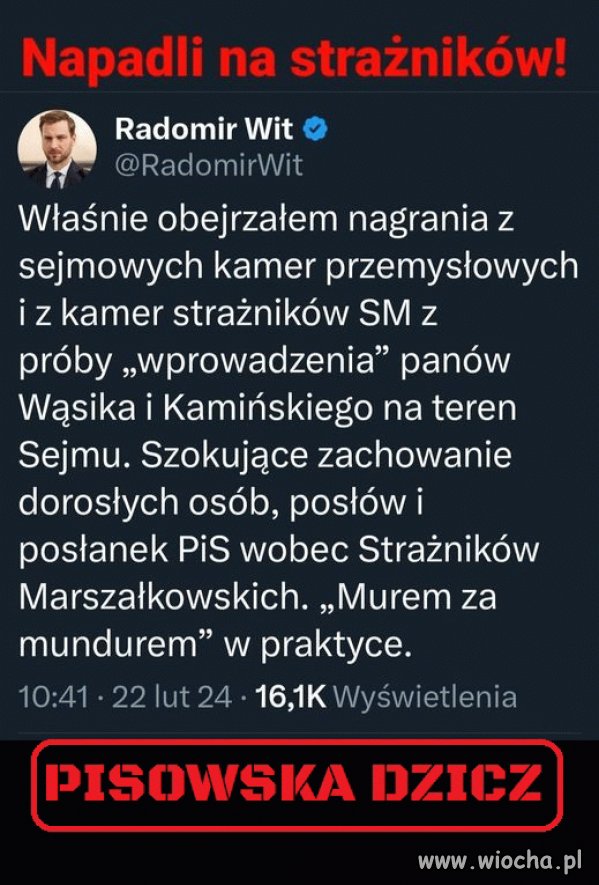 Swołocz pisowska