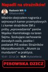 Swołocz pisowska