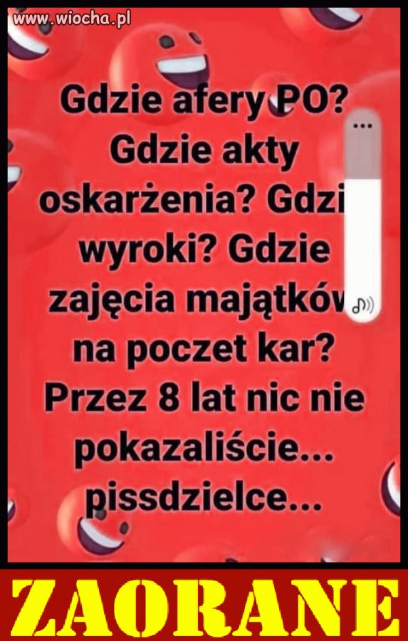 Kolejny "sukces" pisowskich baranów