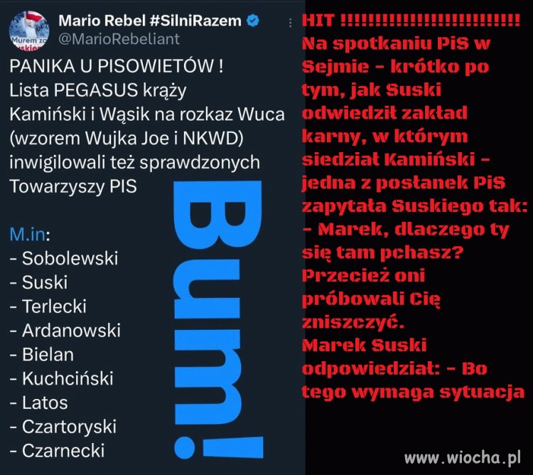 PIS się samo zdelegalizuje
