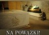 Czy Dziwisz się podda?