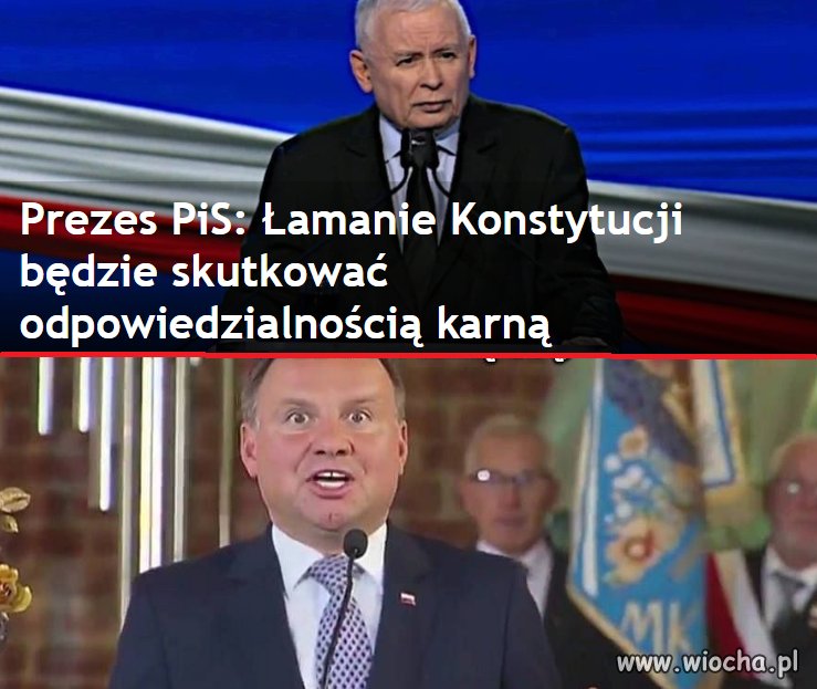 Już nawet kaczor przeciwko dudzie