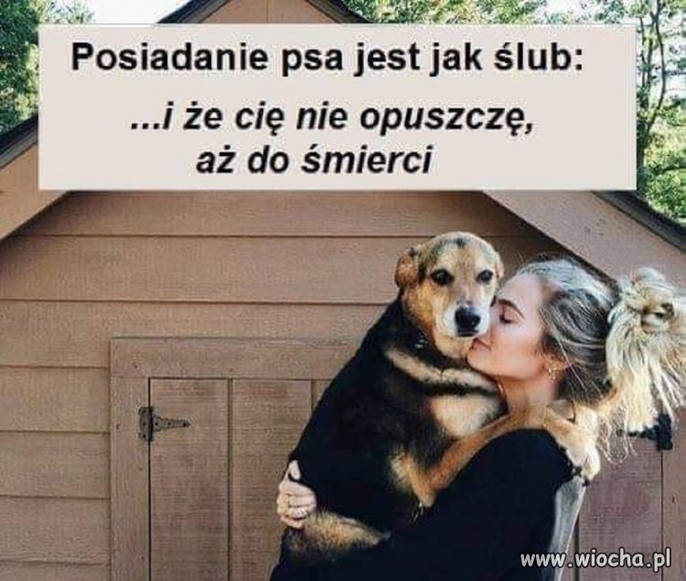 Takie przypomnienie... przed wakacjami