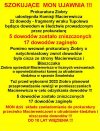 Koniec blaznowania wariata Macierewicza!!! 