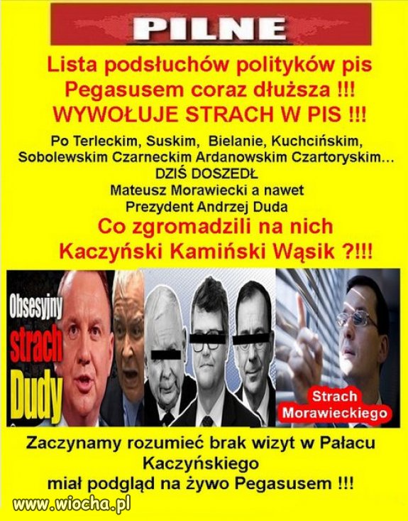 W PiSie panika, niebawem sami się zagryzą...