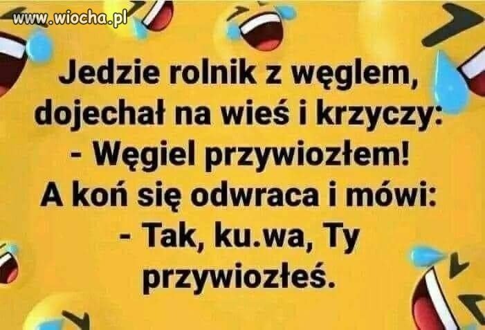 Rolnicy
