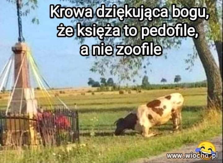 Także tem