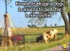 Także tem