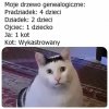 Prawie jak drzewo Kaczyńskiego