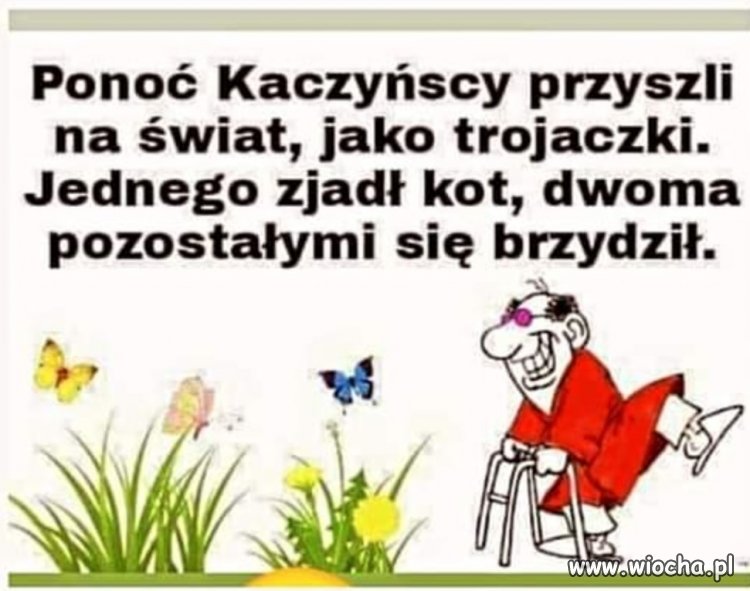 Taka historia. Czy prawdziwa, nie wiem ...