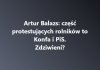Prawica Putina robi zadyme?