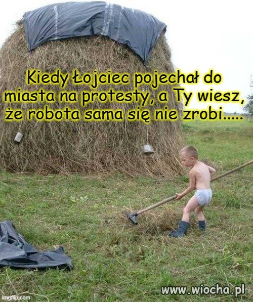 Młodzież