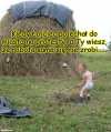 Młodzież