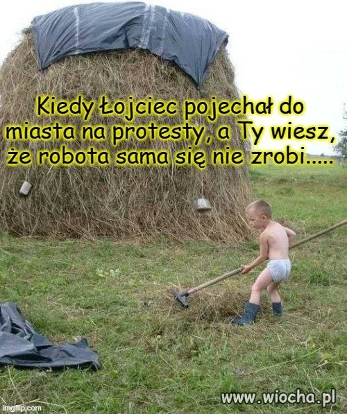 Młodzież