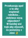 Taki apel ...