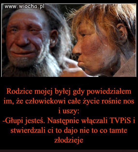 Niestety okazało się ,