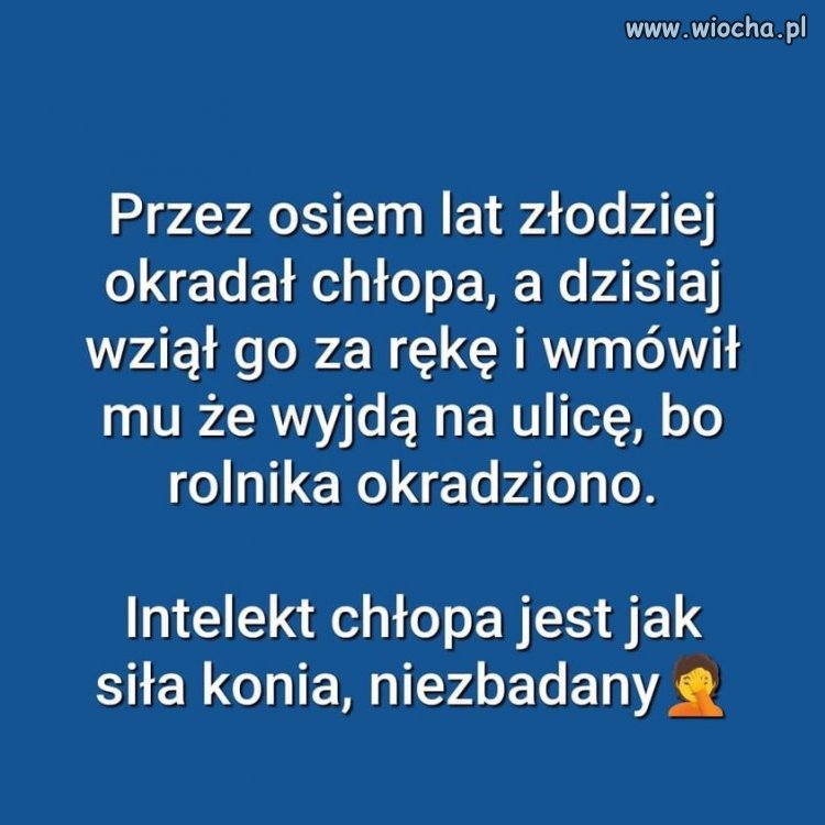 Nic dodać, nic ująć ...