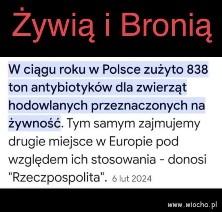 Czy rozumiesz teraz dlaczego tak walczą z Zielonym