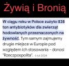 Czy rozumiesz teraz dlaczego tak walczą z Zielonym