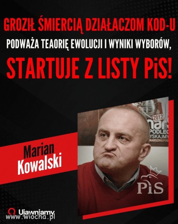 Pisowskie "bystrzaki"