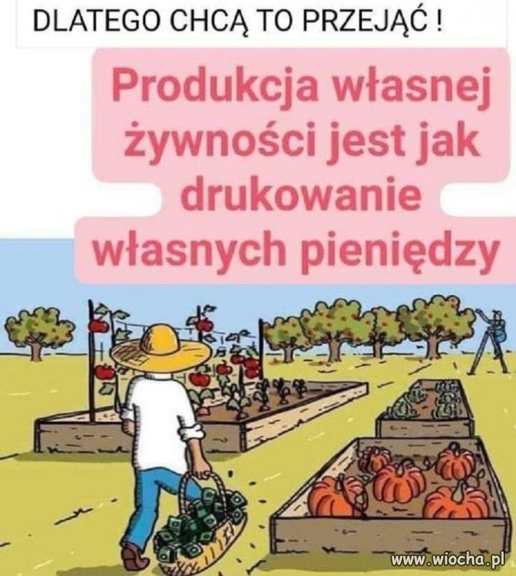 Bo własna żywność to niezależność 