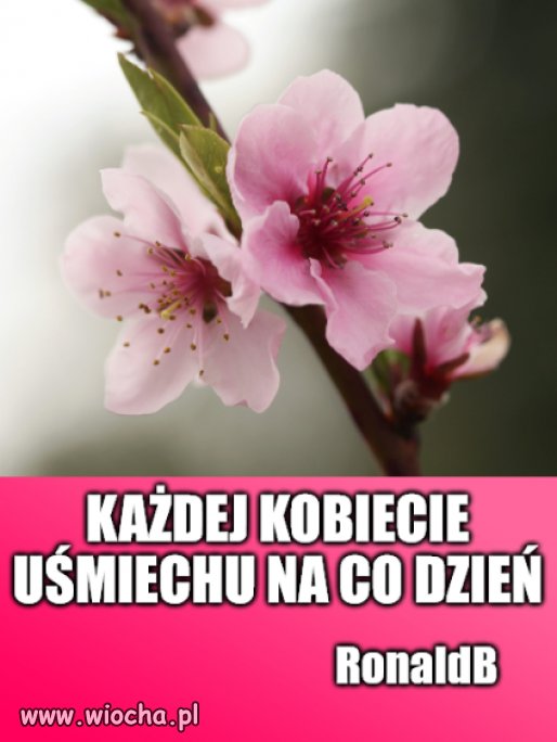 Wszystkiego najlepszego