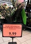 Zbawienie czeka tylko na wybranych