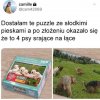 Generalnie tematyka zwierzęca się zgadza