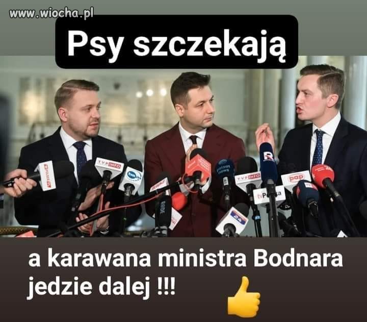 Jeszcze mogą poszczekać. Już niedługo będą płakać