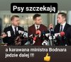 Jeszcze mogą poszczekać. Już niedługo będą płakać