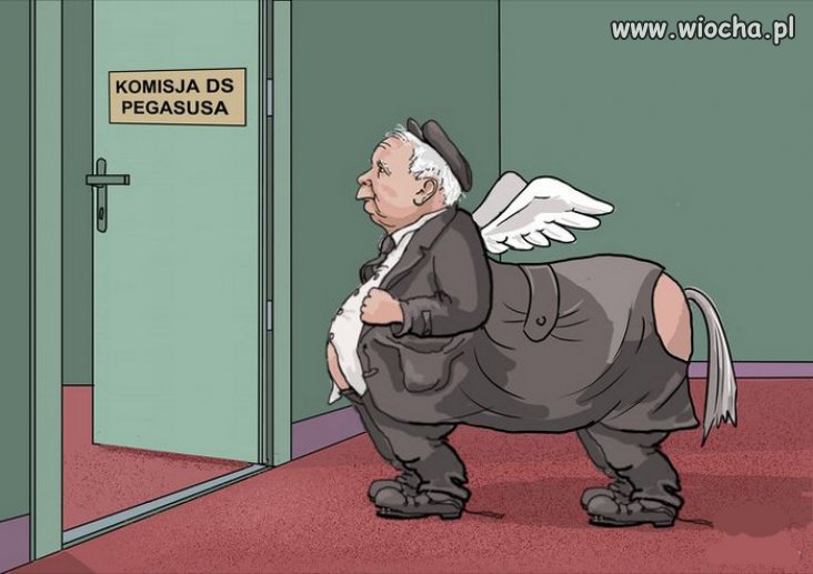 Mały świadek koronny 😁