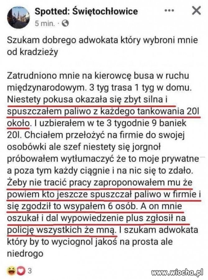Leoś zawodowiec
