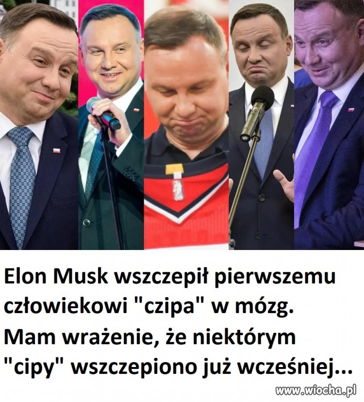 Zacipowany