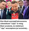 Zacipowany