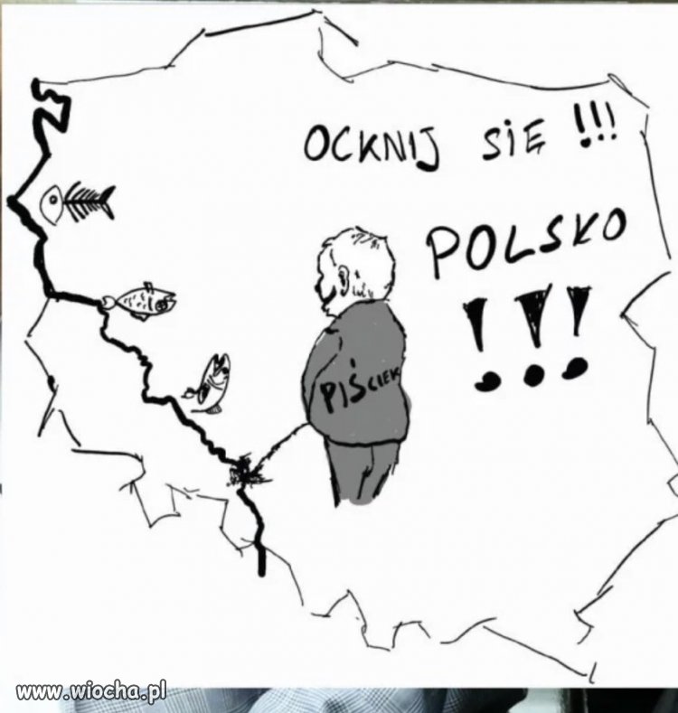 Ocknij się Polsko