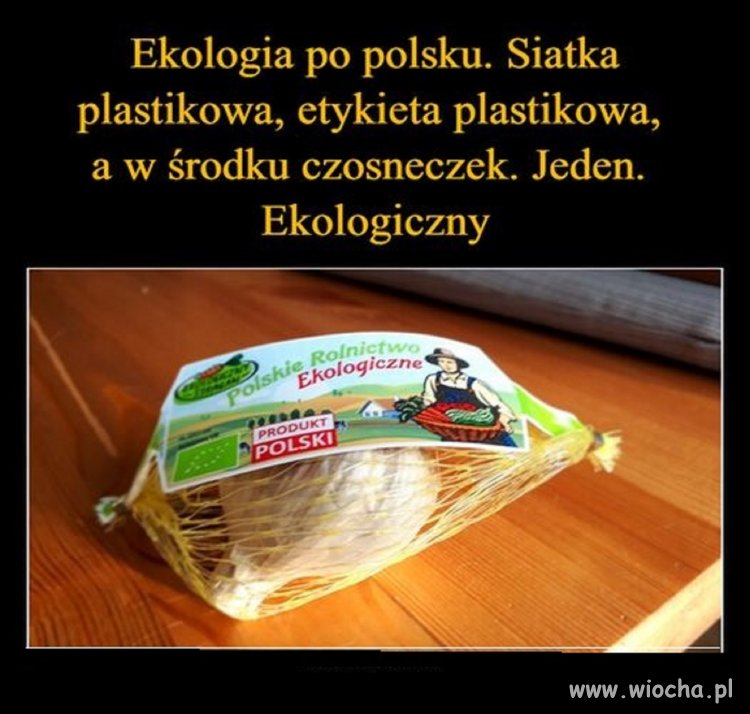 Wszystko zgodnie z naturą