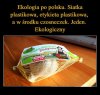 Wszystko zgodnie z naturą