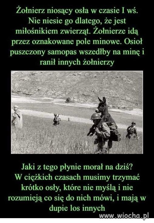 Słuszne słowa