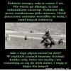 Słuszne słowa