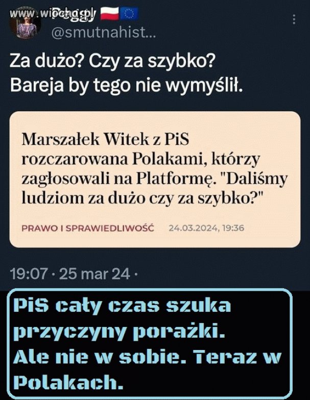 Przemyślenia czarownicy Eli Witek