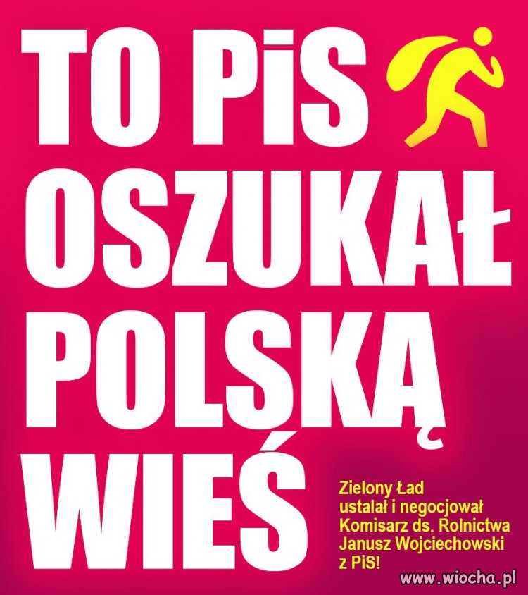 Politycy PiS zarabiali miliony 