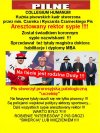 Dzięki PiSowi w Polsce  przybyło 1000 "uczonych"..