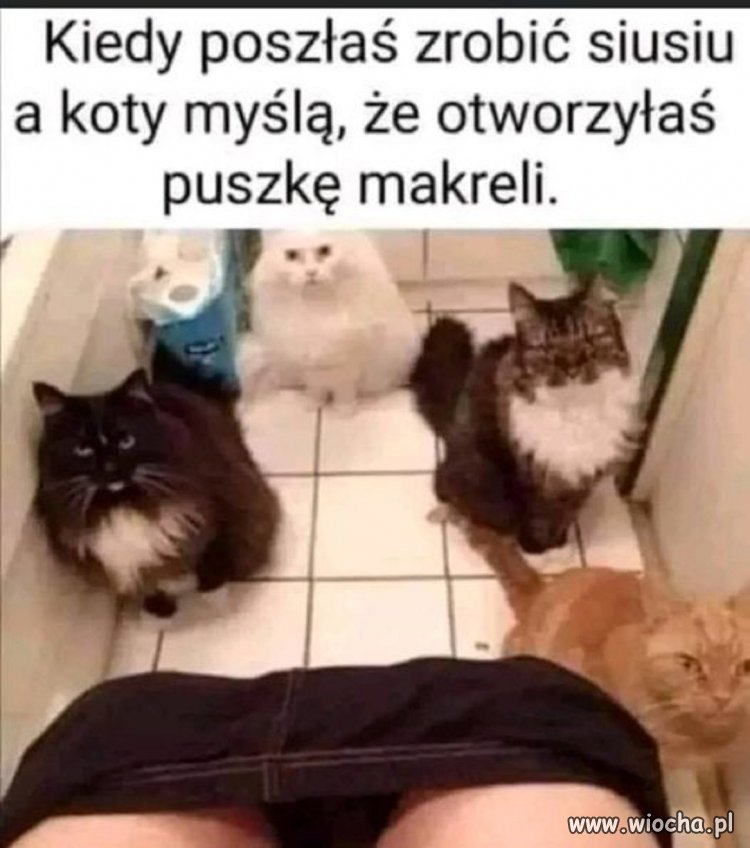 Swojskie zapachy