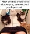 Swojskie zapachy
