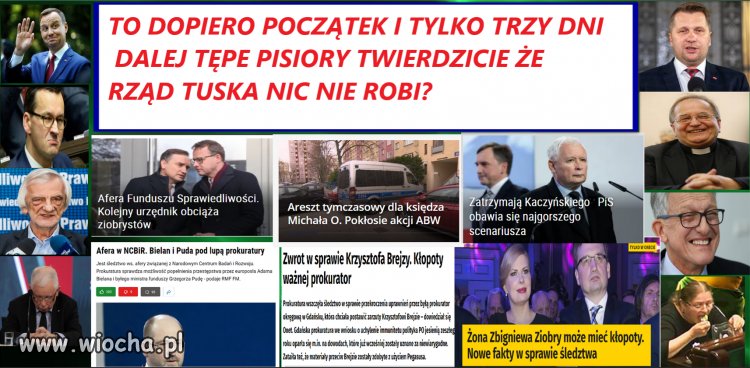 Tępe pisiory