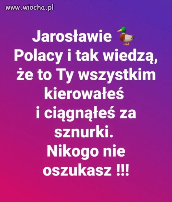 Dokładnie tak