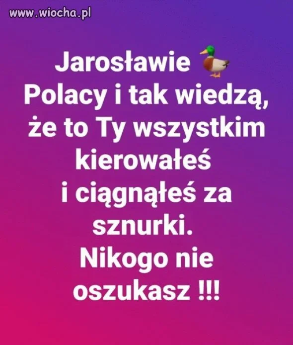 Dokładnie tak